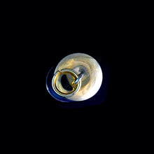 Load image into Gallery viewer, 9ct Yellow Gold Vintage 10 Shilling Note Pendant