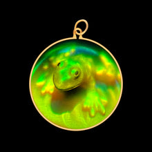 Load image into Gallery viewer, Frog (Medium)