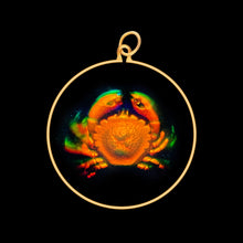 Load image into Gallery viewer, Zodiac Cancer Crab (Medium)