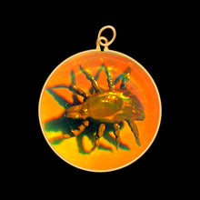 Load image into Gallery viewer, Mite Bug (Medium)