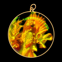 Load image into Gallery viewer, Parrot (Large)