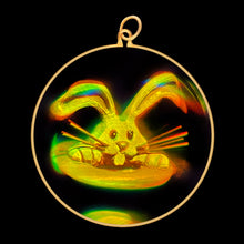 Load image into Gallery viewer, Magic Bunny in Hat (Large)