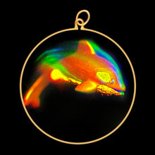 Load image into Gallery viewer, Killer Whale Orca (Large)