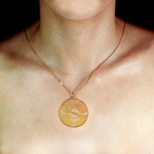 Load image into Gallery viewer, Dollar Sign Coins Money (Large)