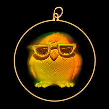 Load image into Gallery viewer, Cool Bird (Large)