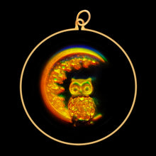 Load image into Gallery viewer, Owl & Moon (Large)