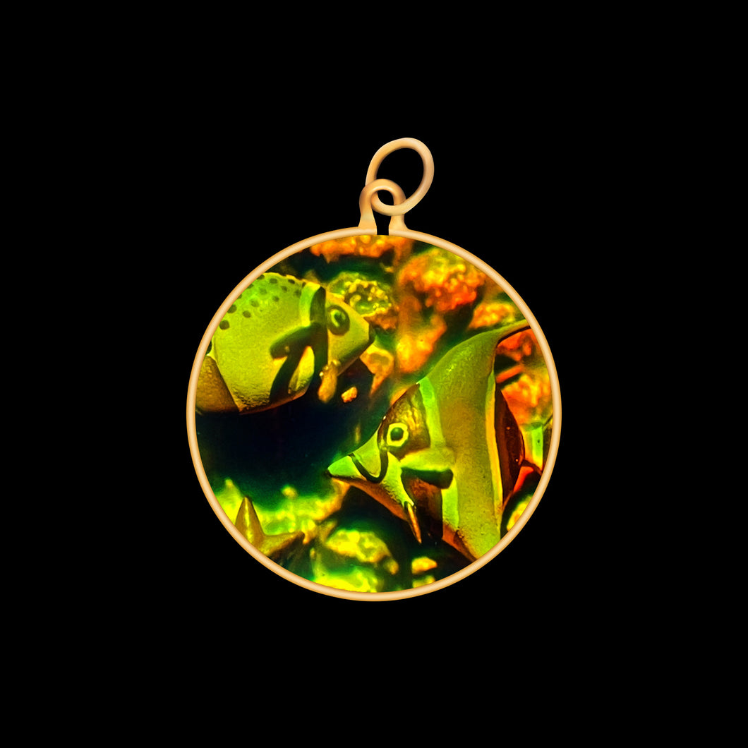 Tropical Fish (Small)