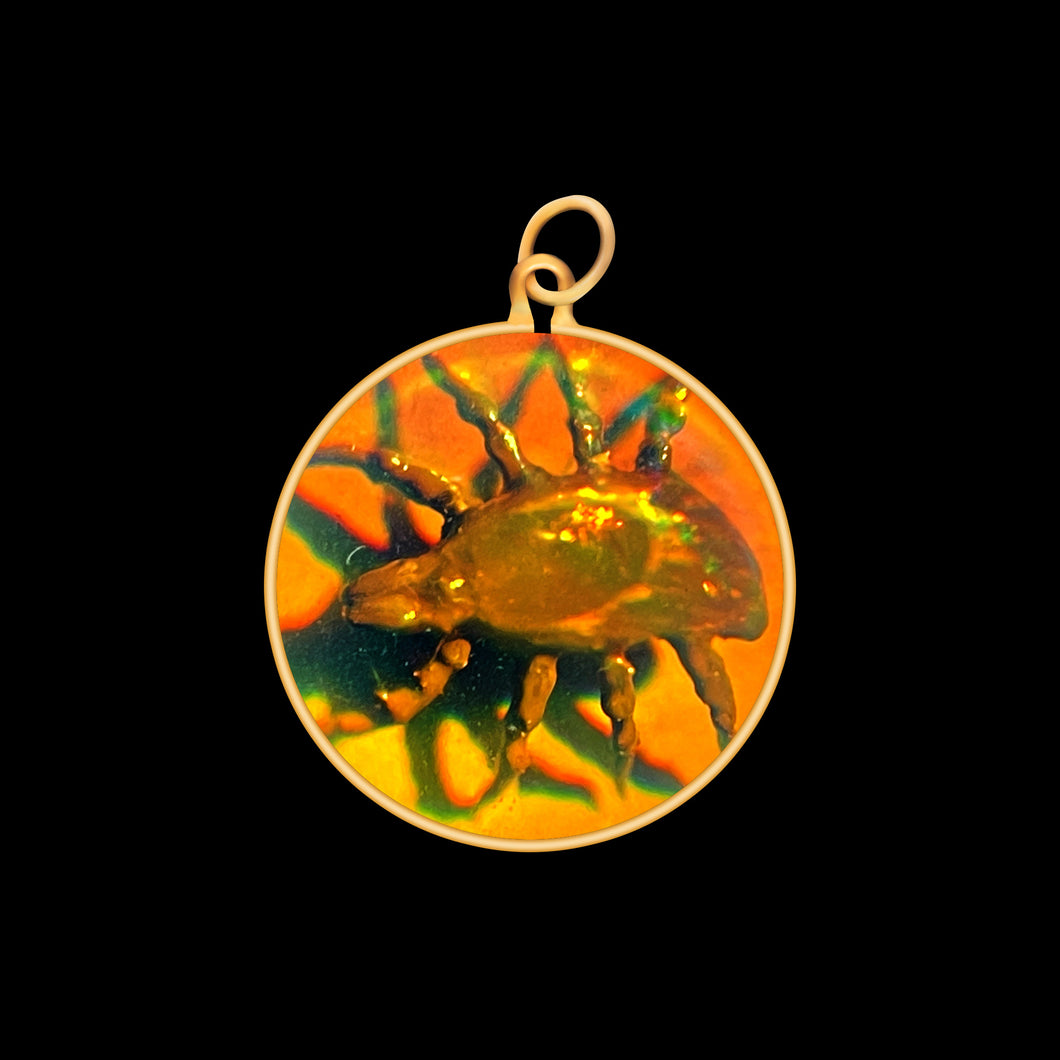 Mite Bug (Small)
