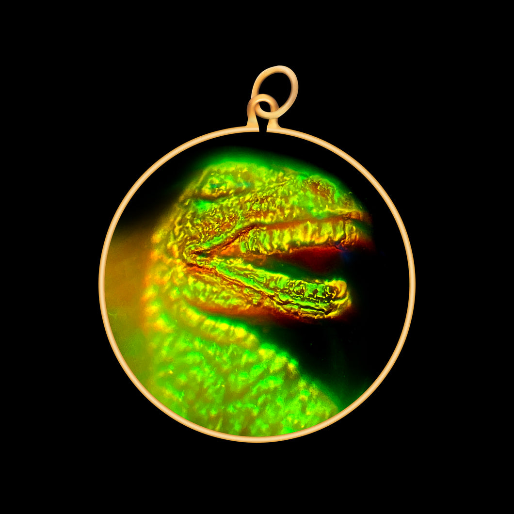 Dinosaur Head (Medium)