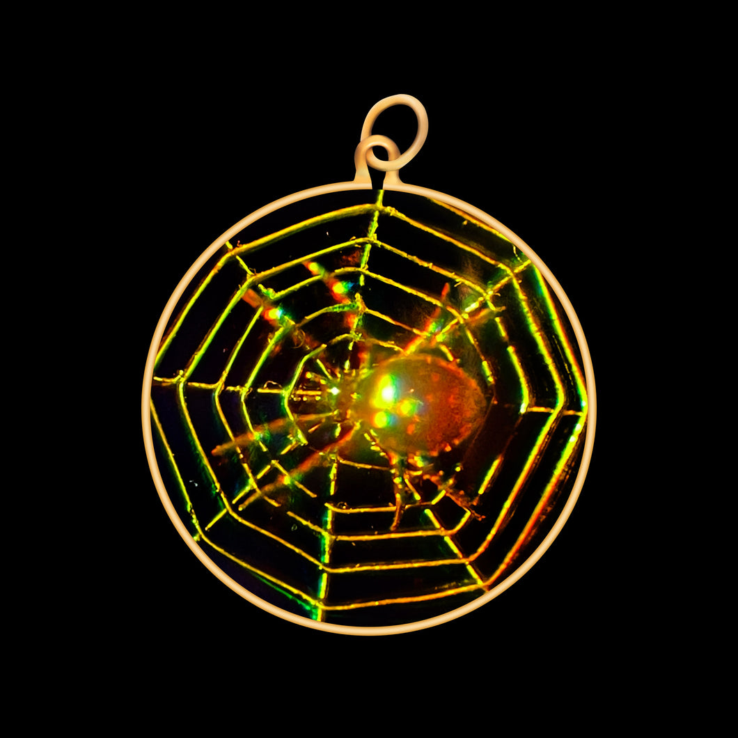 Spiders Web (Medium)