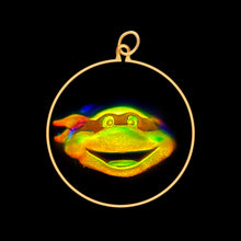 Load image into Gallery viewer, Teenage Mutant Ninja Turtle (Medium)
