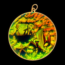 Load image into Gallery viewer, Tropical Fish (Large)
