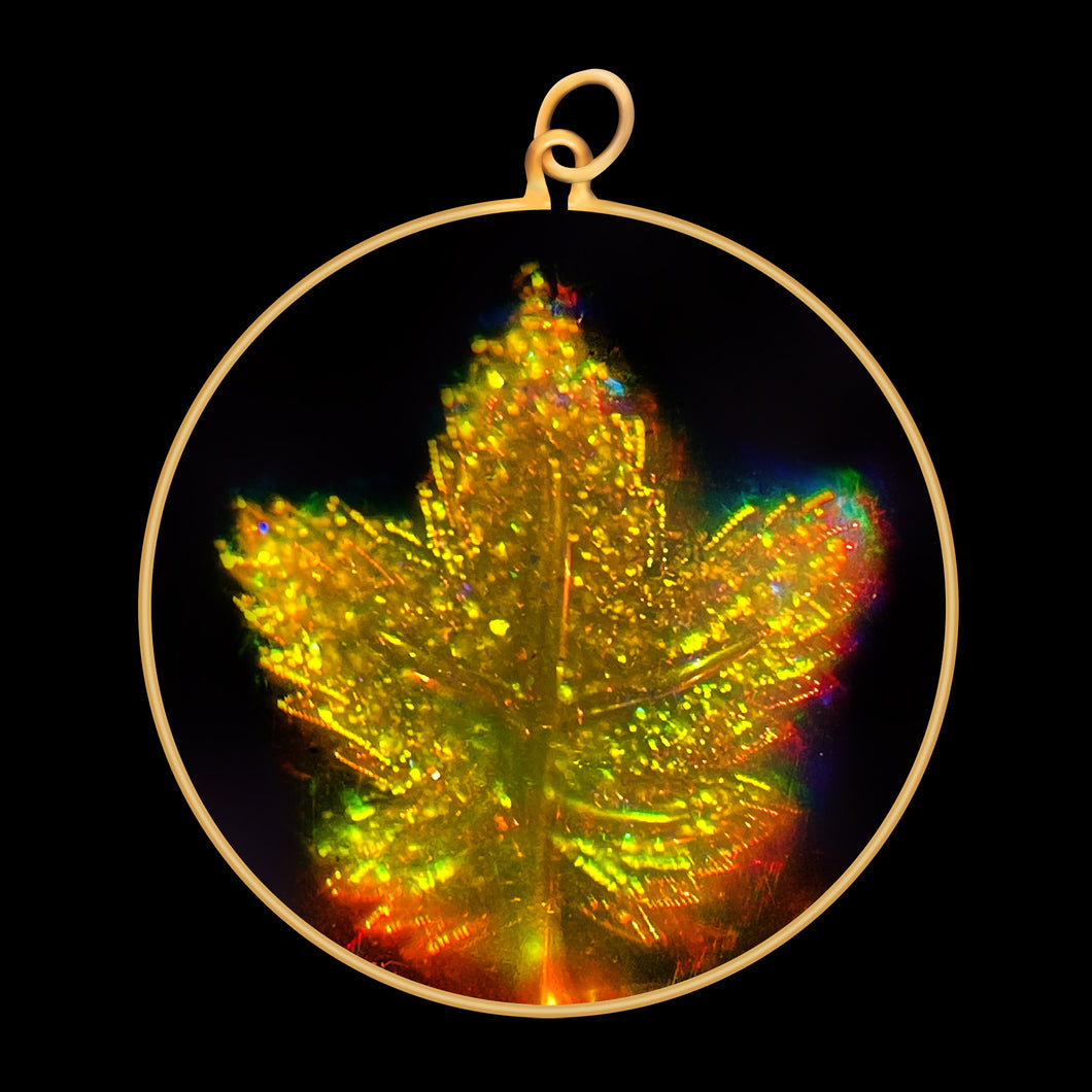 Canadian Maple Leaf (Large)