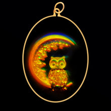 Load image into Gallery viewer, Owl &amp; Moon (Oval)

